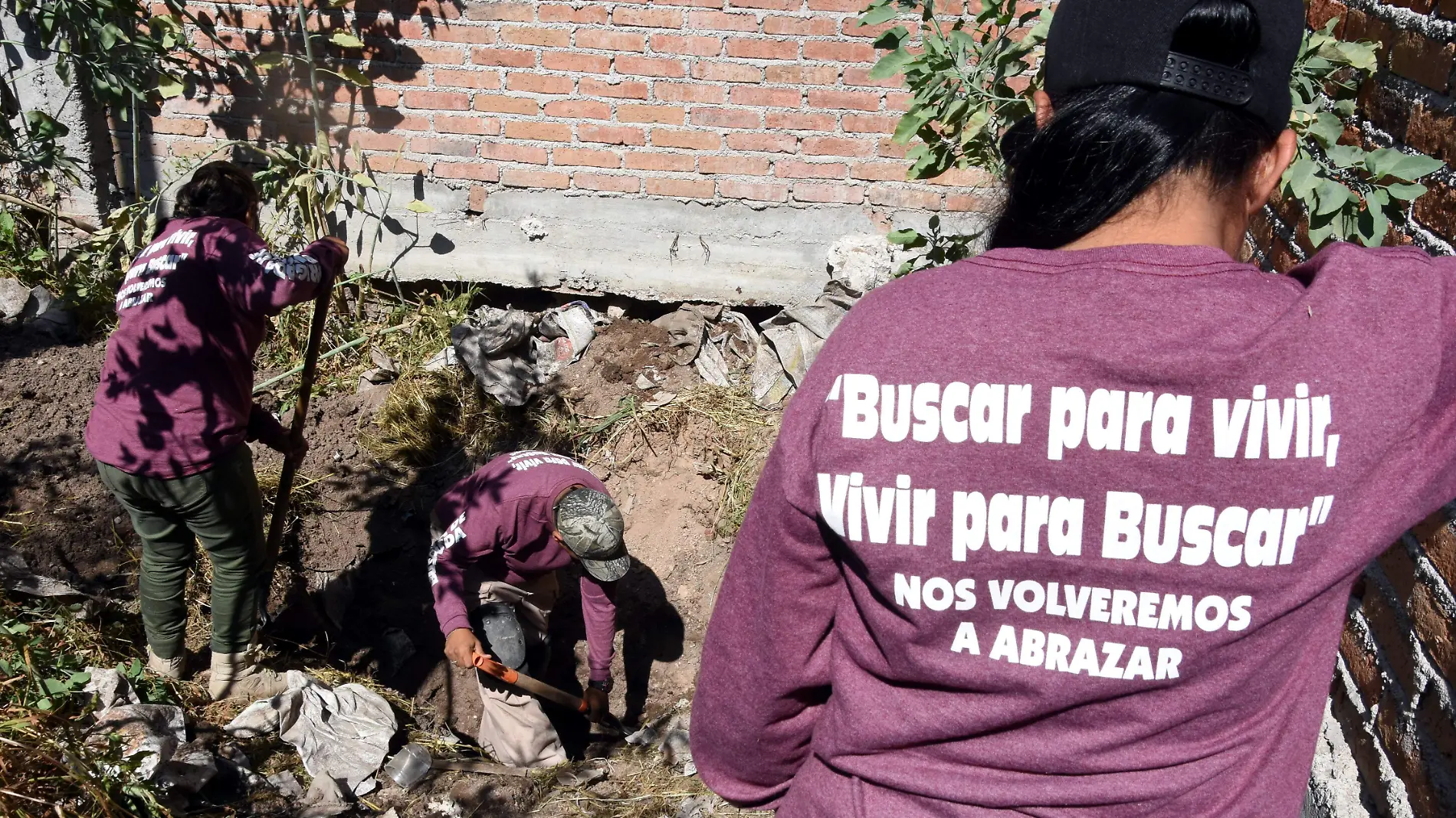 APOYAR A CLECIVOS DE BUSQUEDA (2)